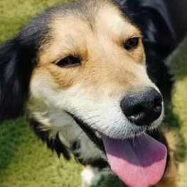 D 18cee1a5 5401 419d a34e ab937fd8aab9