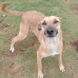 D 4c0730e2 2095 4a06 bab5 94baa3e9e706