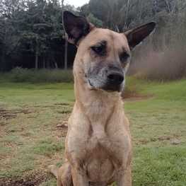 D d1ecb191 5f23 49cb 9350 320176b5fe31