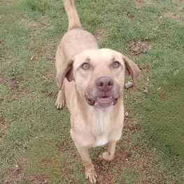 D 78edd1fb 0278 45eb a920 901f6feb3963