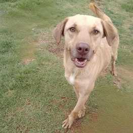 D 89e3bce6 9e8c 448e aa9e 5825fe859504