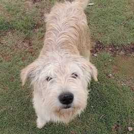 D e1537092 8c13 42e7 95da 6bf744642193