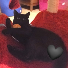 D e591162c 9832 4208 a9d1 9eb8f8dd50ab