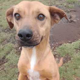 D c206f33b 012d 4072 b343 ad9dfdef5e7a