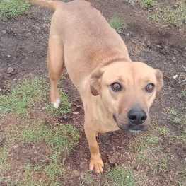 D a95b83ab cdb0 49d5 825e d16828eb5516