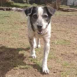 D c1d910c2 af4c 483d bf9e f5143df9f988