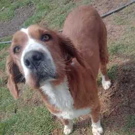 D ca741d36 f537 403f 83f7 65b3630247a5