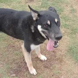 D f5f10c0e 6633 4a5e 8c25 32143eb746b9