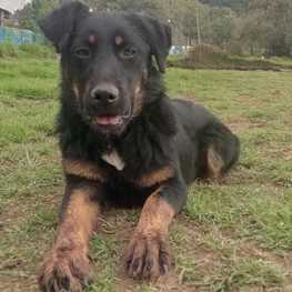 D dbe817ad 6fd2 44a1 b167 d57c1a71da6d