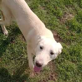 D db228629 f84d 400f bf71 aa3404834632