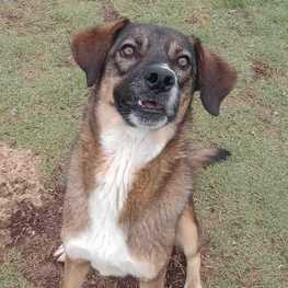 D 95176349 0acf 4a35 809d ab03e31d9329