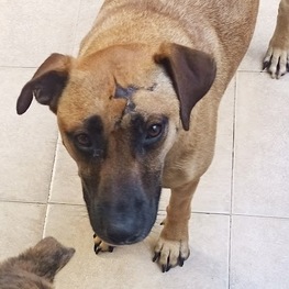 D 9f111b13 dea3 4544 a371 196a5a2ec651