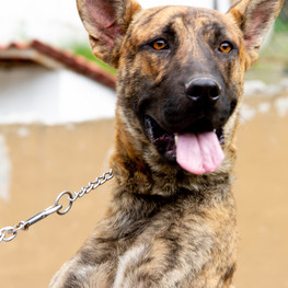 D 06034c3b 81b7 46ab b230 fa59bbba822e