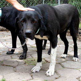 D 9bd07cf8 711f 42fc 9624 cc28f5d2d0b9