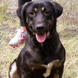 D f1aba16f 66e2 4594 b21f 6f3e82234ddc