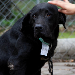 D aa5c711e 2c21 476b 9c93 b9a7287fc895