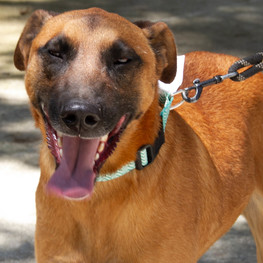 D 1a402b0e 9908 4fe7 ae56 96ceda9204c7