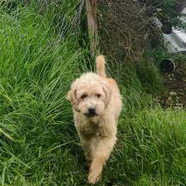 D e6472c11 1d23 4ad0 9211 037922bed094