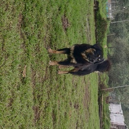 D 25a7bb82 b8a2 4f52 bc6d 5065b481f9e5