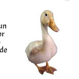 D 4ca0b108 8219 4e9d a753 9de13529a2b9