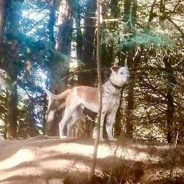 D fe16a0f8 2aa5 43c4 9fea 21b4081a04a0