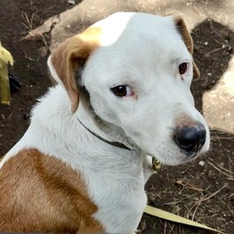 D 246da026 72da 4d13 8078 5d44b7c95b84