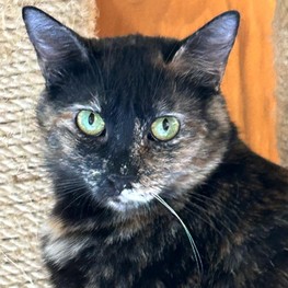 D 78430c83 07e8 4cad 8c83 1f638c731091