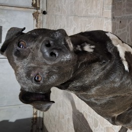 D 26afc516 ca11 41bf b711 558a79a587d3