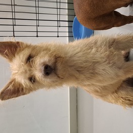 D 2b822e7c 9525 4bd2 97c1 e8ff3d49eb62