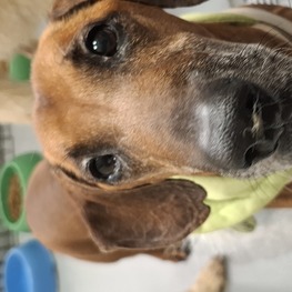 D 0da72c97 82c2 409e b4cf 7a8b33bf325f