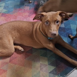 D e89da1d3 825c 4669 8cde 828d8e3a24ee