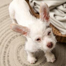 D d3a7b3d0 e4d7 4ed0 98c7 7bb9829a9246