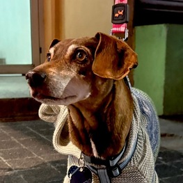 D ee71c4c7 b13f 488d ae90 44031acffe91