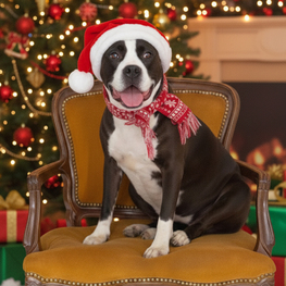 D 1191a8ed 7b71 441c 8c19 e3088fc45933