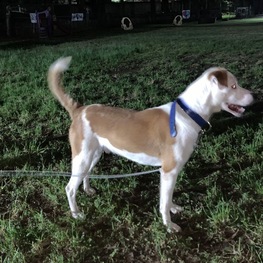 D 463b1d4c 377b 4345 a0c8 955b97642d39