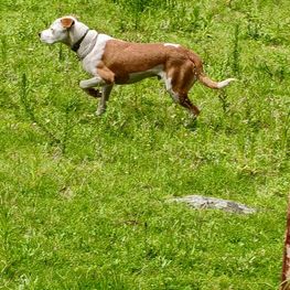 D 98ec42ab 437d 4ea1 98a8 d61da42609f5