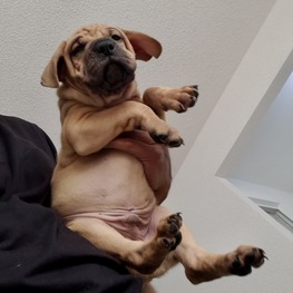 D 8d0b69ad 16b5 4622 a579 ddedfb892b60