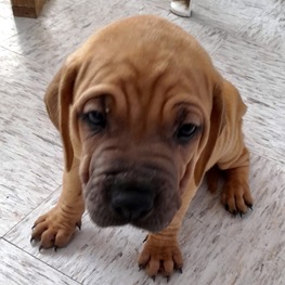 D 15b0c408 2d02 47f5 a388 e950effca1ce