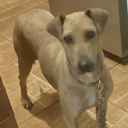 D 2abcb30d 5a37 4e60 ba89 7744d5d5b605