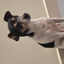 D 4b0201ee da4b 4fce bb84 d07d878c29d9