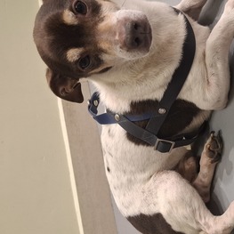 D c29386ca dc94 4193 b92b 0058c0ff1662