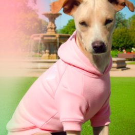 D fa6267fb 7fd0 4ed8 8ec8 a9a3dd841552