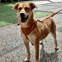 D 1358f791 ebf4 42a9 84e1 d444a27a05c5