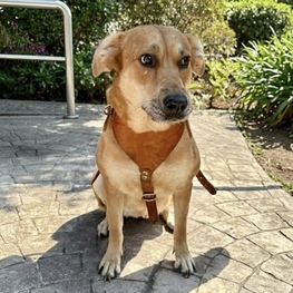 D 4ea6603b fee8 45bf 9115 9d56cbea4016