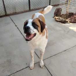 D e3f9233d 3d12 448e 9baf c0c74f08d7c7