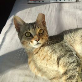 D 15a1f5b6 0e8f 4a47 910d 543387a7286e