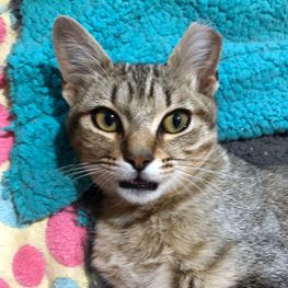 D 2fd3f4c0 f396 44d5 80cb 978b3d35c3b6