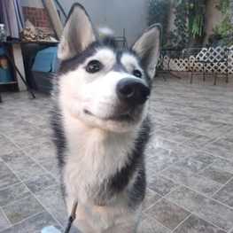 D 635715c9 7279 43df 8c40 2288f0820406