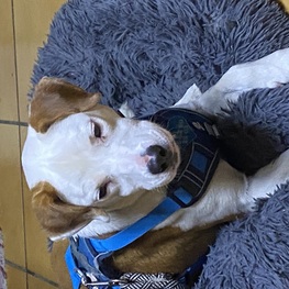 D 27532ffa 2153 4efa 9ba9 60f398d226de