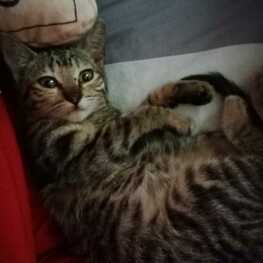 D 93d5aa6a 6fae 464b aca8 eae35eca71ef